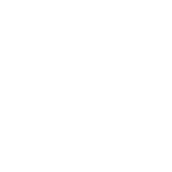 Ibis Budget